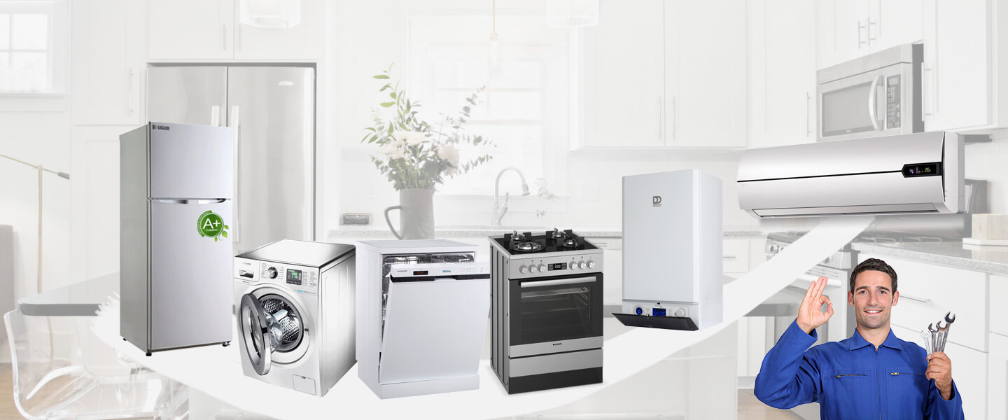 Digor Philips Servisi